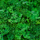 Image for article titled No, really, you want the organic kale